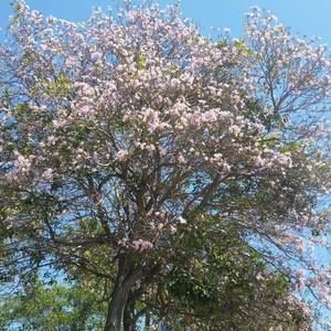 Meet your Posher, Jessica silva